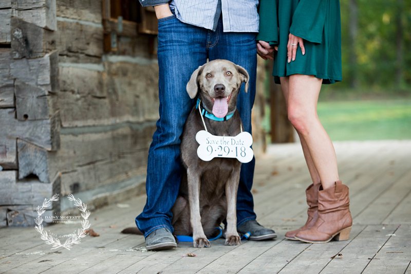 Chattanooga photographer captures beautiful fall engagements with a dog